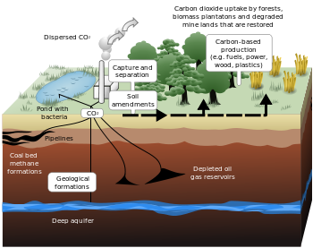 Carbon_sequestration